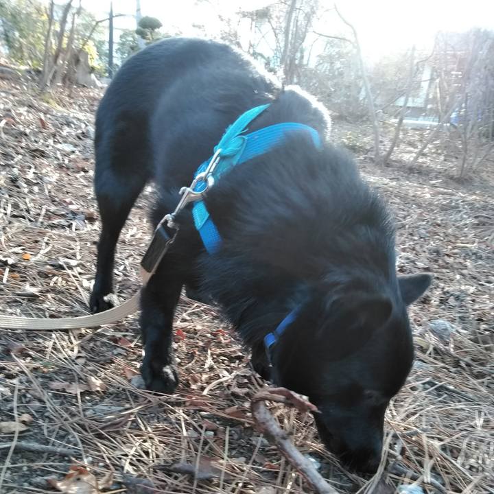 90fc8ea8 1959 49db afc5 2efccd4c42d0 1552116895114