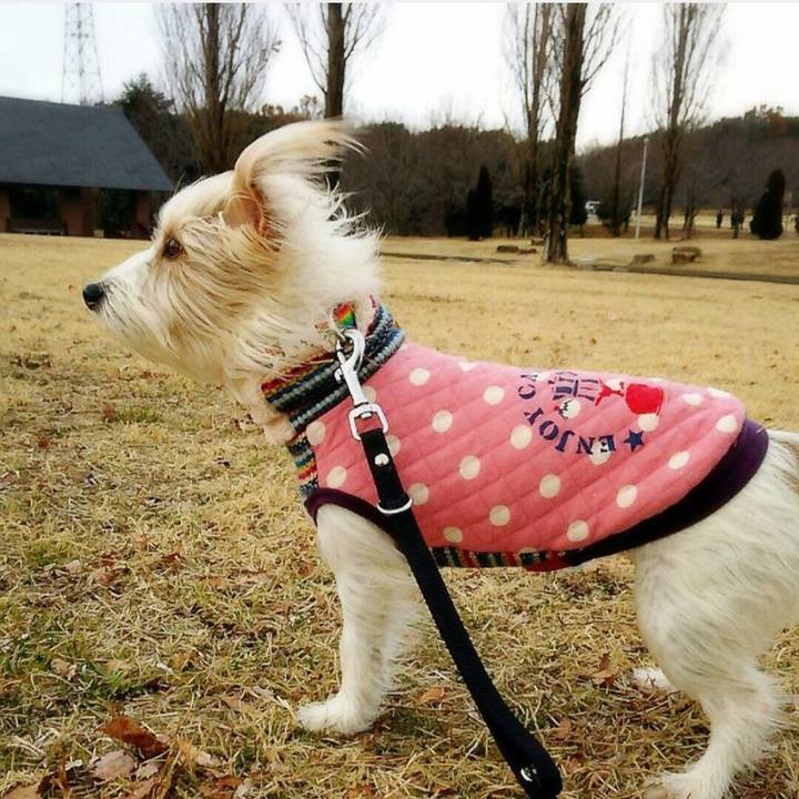 90fcc26b b6fc 4ecc 8605 fa3f14a63c50 1739452325929