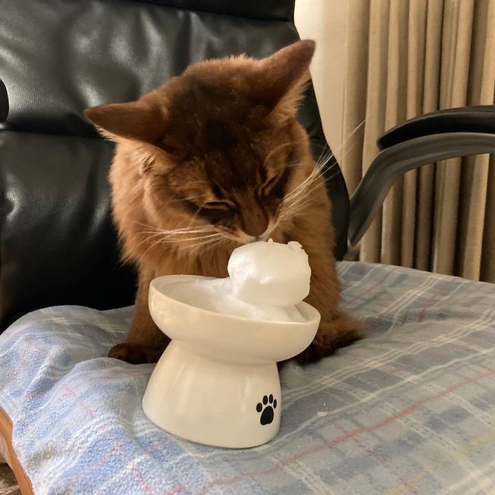 90fcc557 8d4d 40ad 97c6 2b6eb84cd74f 1674565491512