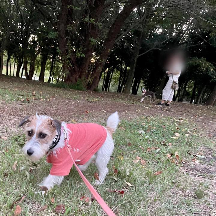 90fcee02 7904 451d ad6c 450f7c48fc6b 1628598700019