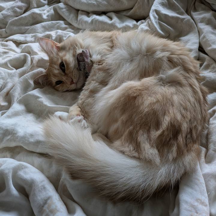 90fd180b 2596 45a4 ad01 e8737578dcde 1727224145143