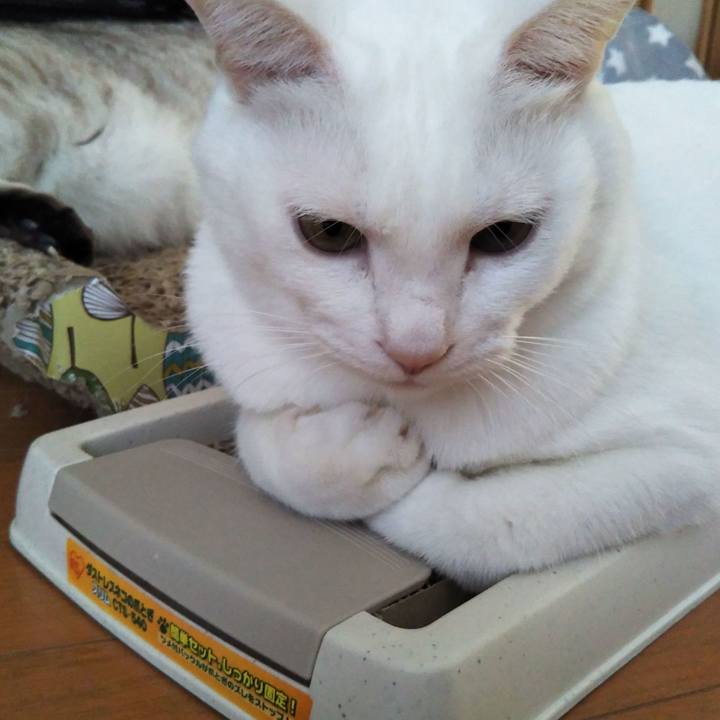 90fd5783 3225 49fa b2e6 381999dd4735 1571211613813