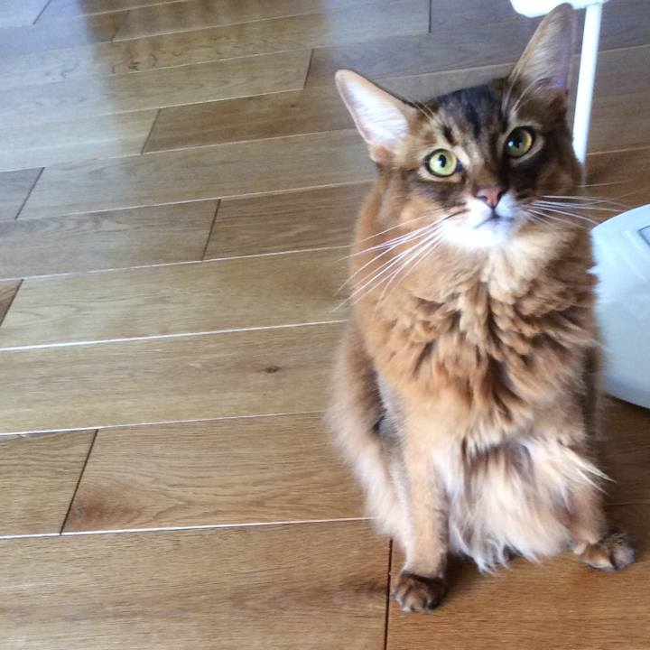 90fd5c15 eb9d 42c8 92a0 4846218ac261 1633396709938