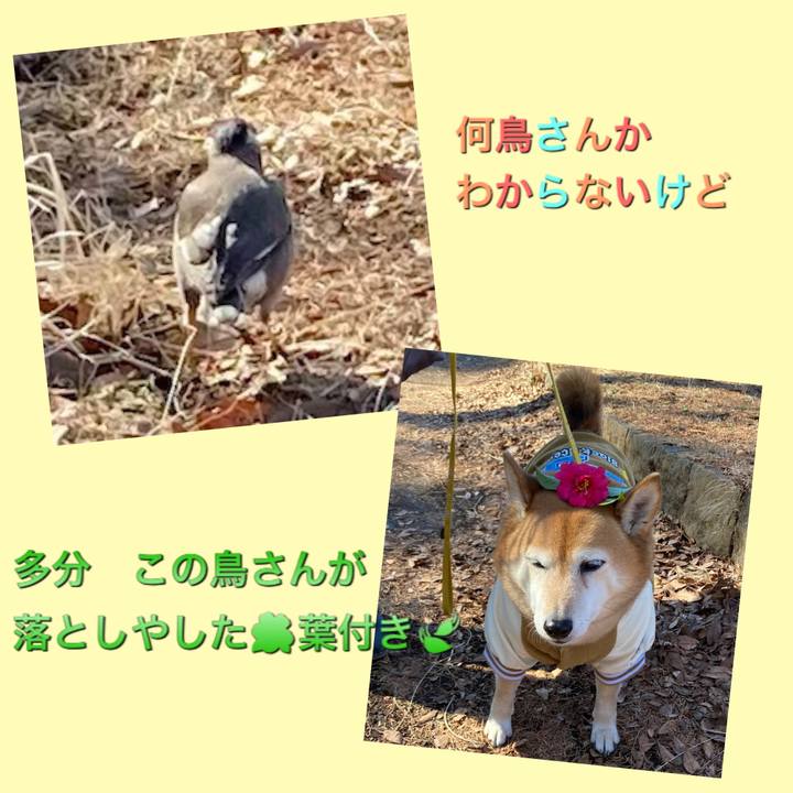 90fd7454 bb8c 409d afcc 8bd1a9c40eac 1641615106156