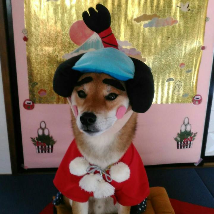 90fd7c9f 53ed 434b a3ae b9ca95fff0ac 1513414322833