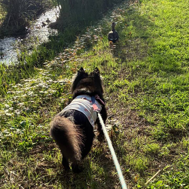 90fd82b9 04d1 4d7a a98b 981f4903e02e 1759883169816