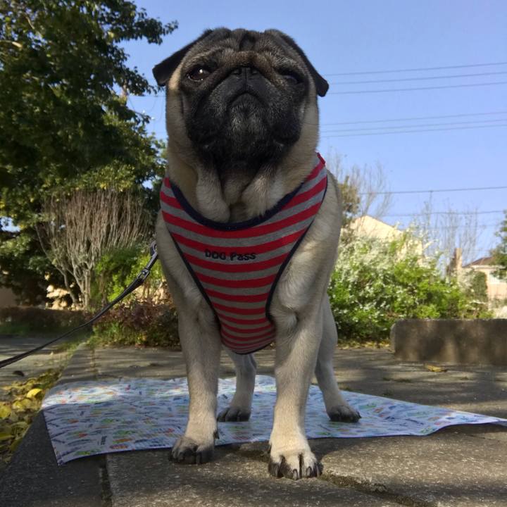 90fd8f37 1af4 4662 bad7 beec12a053db 1586005402074