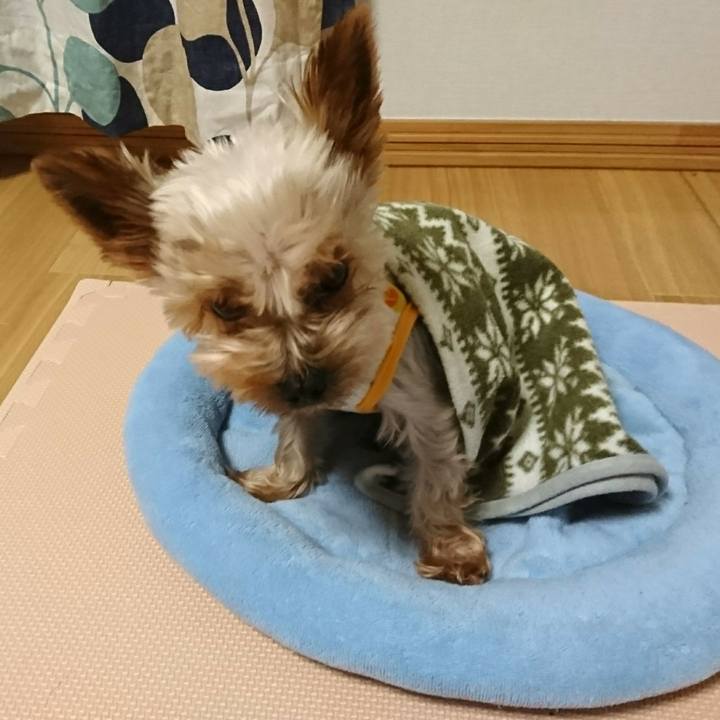 90fdbdd2 e10e 489b 93e7 3e599b80ac61 1514128059334