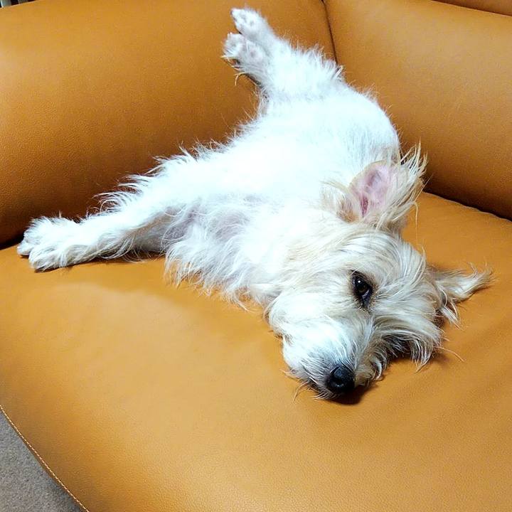 90fdc152 5d2a 4b60 a749 7afa347b2ff8 1576929917553