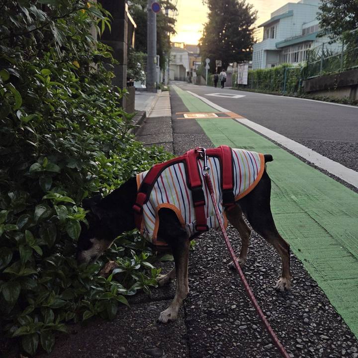 90fdd2f8 bba5 4221 8b52 3f8d7ec0eaa3 1752784067605