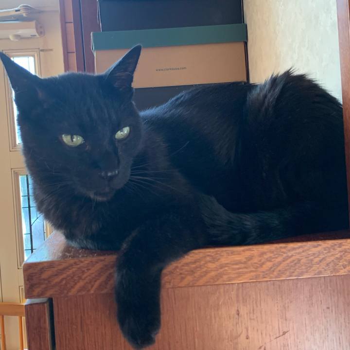 90fdf722 f1c0 441c 934d 1d34c83f685e 1597194362017