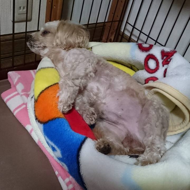 90fe33e6 13b0 4f35 a77e 39775afd4226 1544104774757