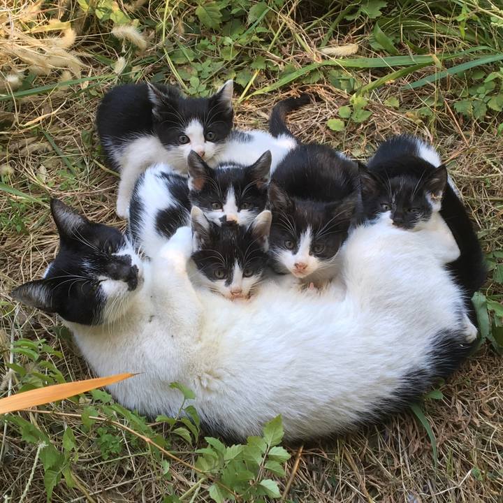 90fe4d59 555e 4d52 9212 fa0a1a0dc49b 1632328002418