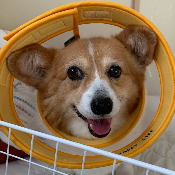 90fe5164 cc23 493e 95cb 63acf6bdc2e6 1717041805541