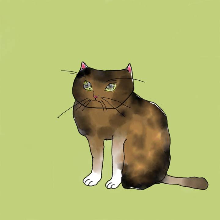 90fe51e4 8fd2 4f44 b586 aab907f690ca 1605711802101