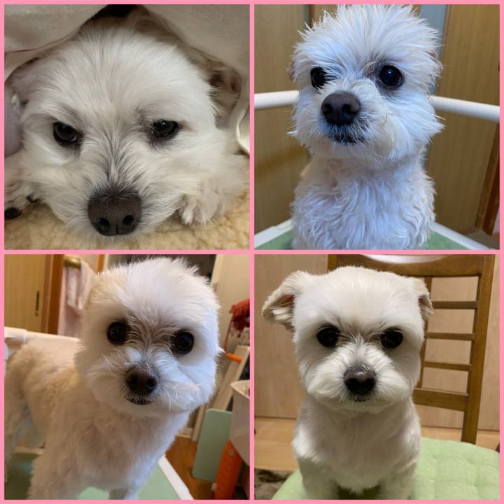 90fe5410 7a25 420b 815c 9764e413b462 1642940467899