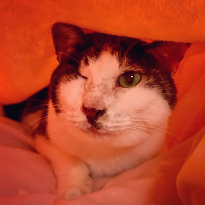 90fe7b32 3b21 4166 a41d 0999231503d3 1614409874600