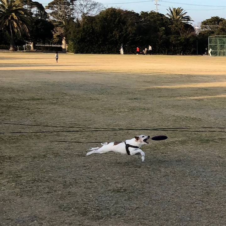 90fe81df a2f8 4c29 8dc0 060060e70b21 1520156486407