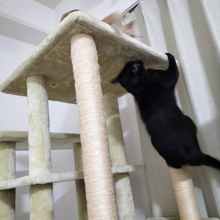 90fe931b 2ee5 4c77 a85f 85d2b6c2082a 1697891661122