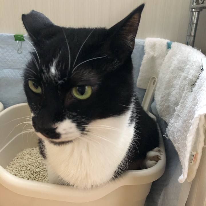 90feaa1d 7c3a 4429 9c7f 609805757127 1614410433533