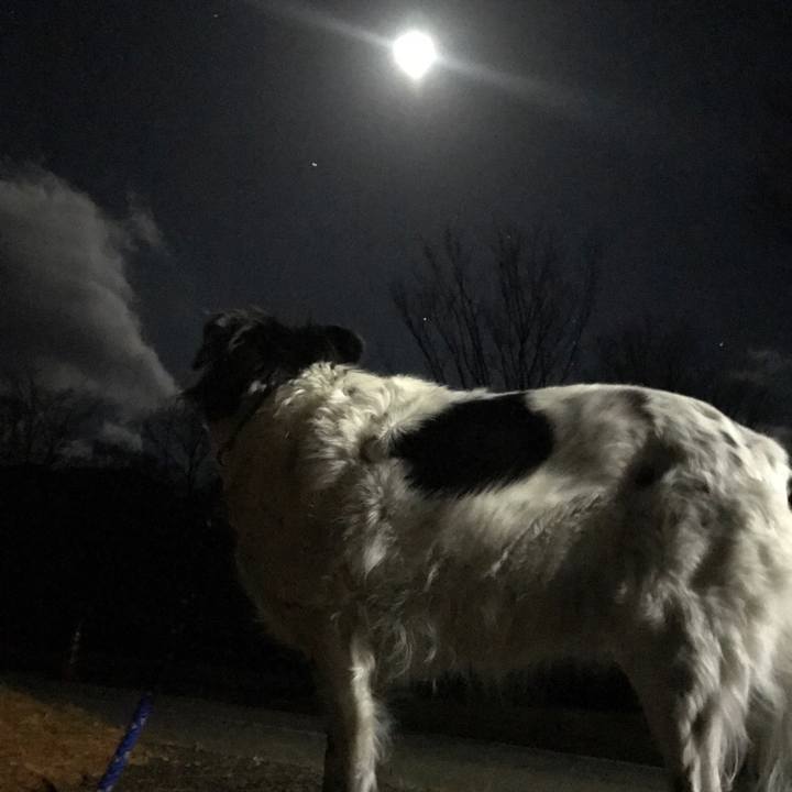 90feb4c9 04e8 4763 84de dc7bb5a3aabb 1514718810148