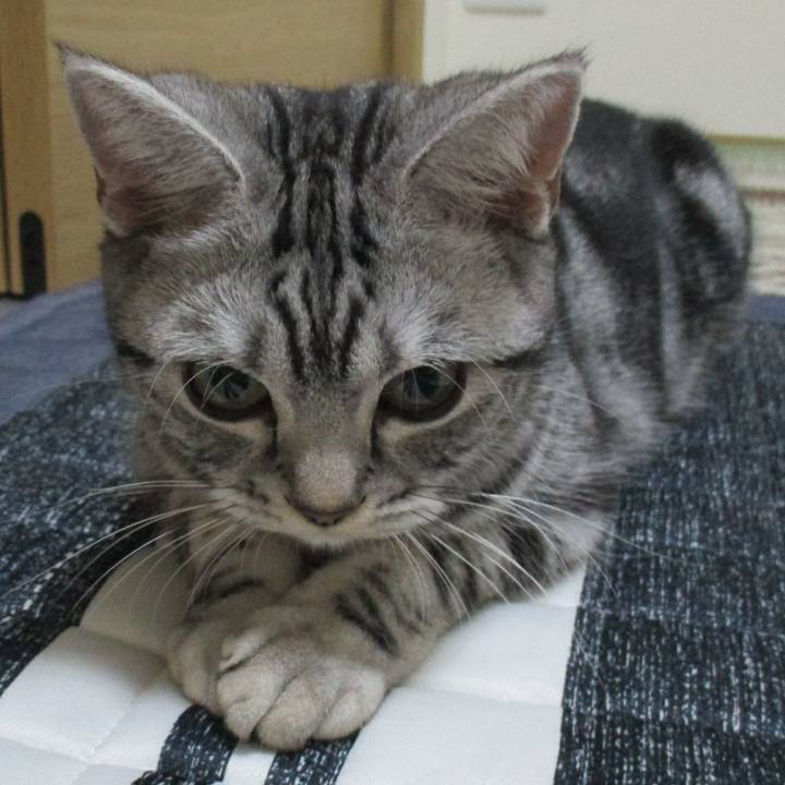 90fed550 5f74 4a2e 99d3 504d4c2fea24 1543587166810