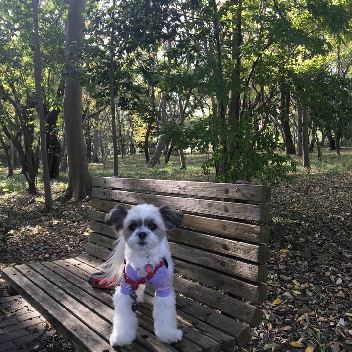 90fee861 9040 4662 89fa 27715084dbe5 1509599808287