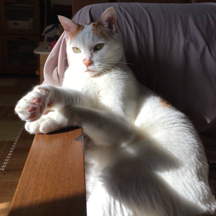 90fef011 128d 49af a7b0 c2fa98b58203 1552867880524