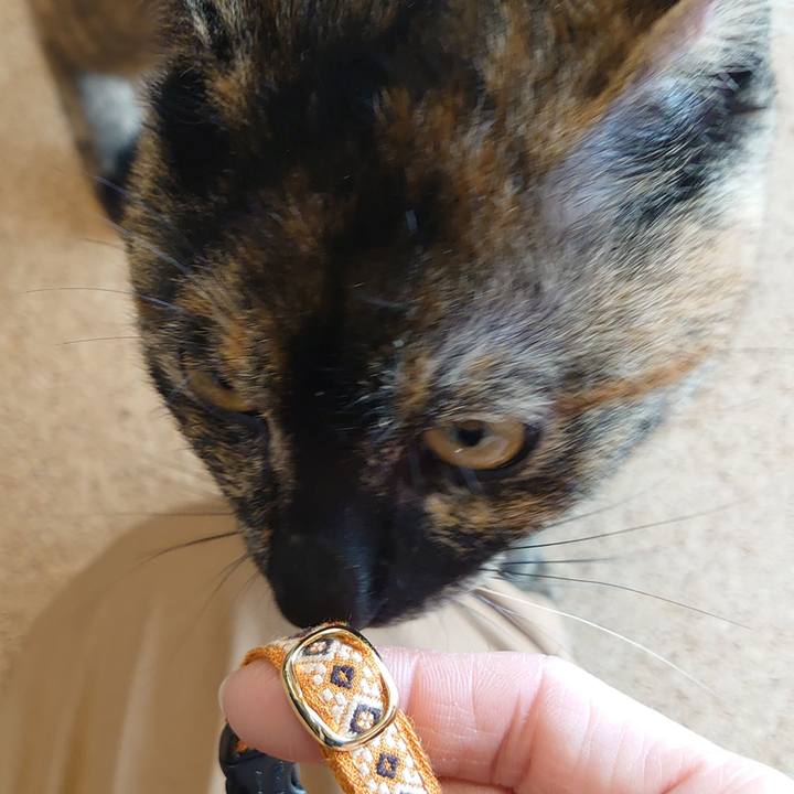 90fef804 5d08 4d87 8ff9 be10c52c5a7a 1756807153678