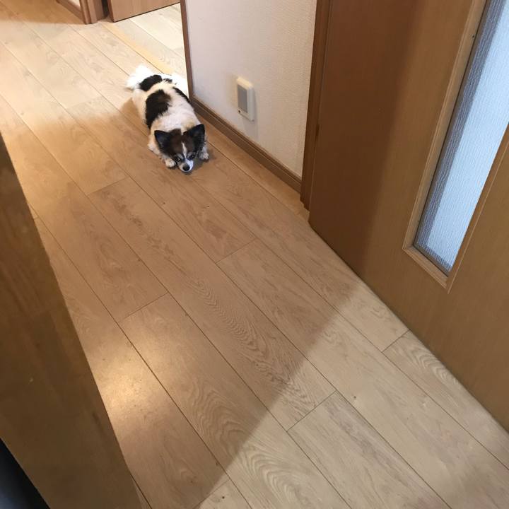 90ff1670 03f5 430c 8d51 dd209111bc21 1631761950411