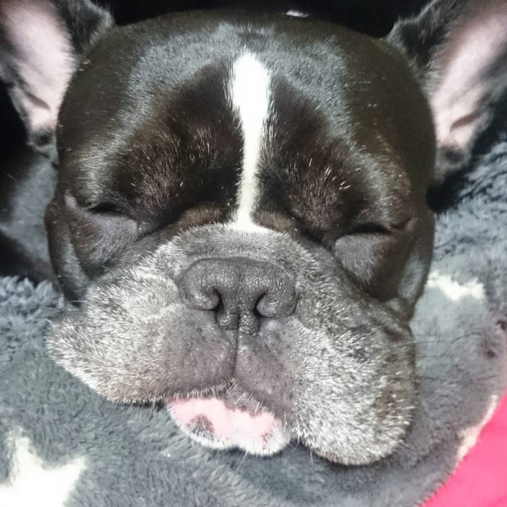 90ff1891 9117 4c35 bf7a 9c79b158a8b9 1525871284699