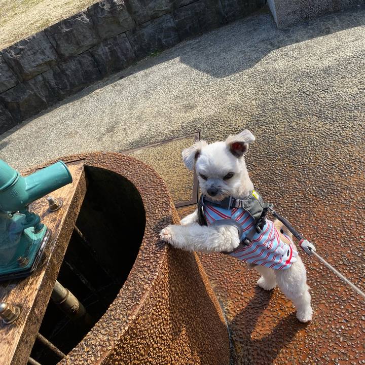 90ff3752 c593 4175 88f0 37df313468fd 1614080082741