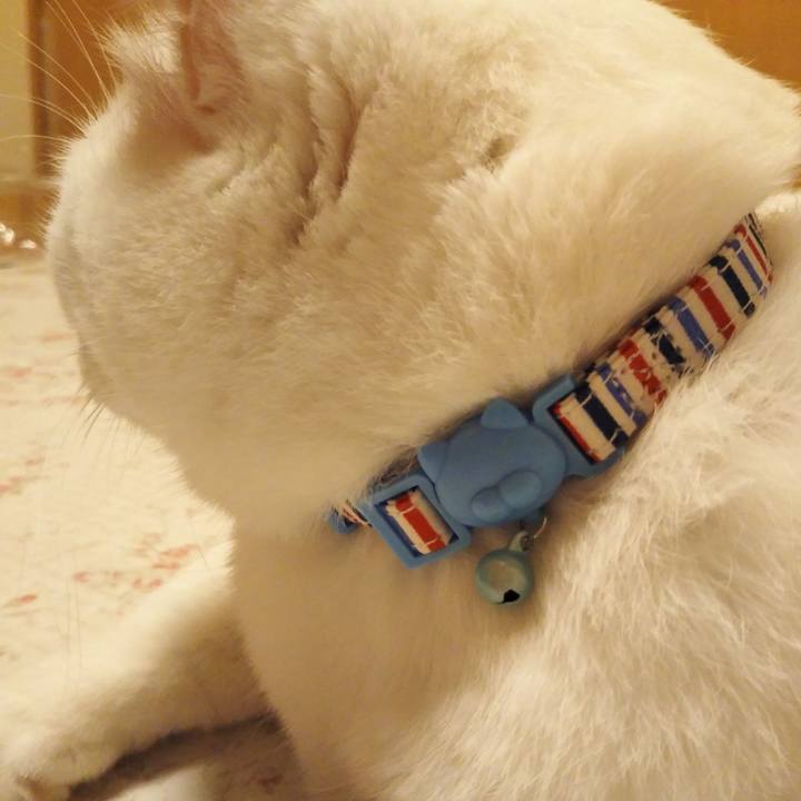 90ff8715 08d5 42e0 aa17 647dee8ff5fc 1597754742158