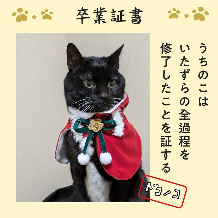 90ffade5 08b2 453e a311 ad7060fa28ec 1771854393066