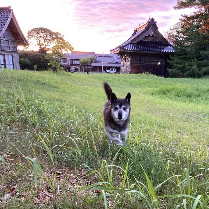 90ffaeaf 09e4 4845 9f7a e675b4acd141 1726576292013