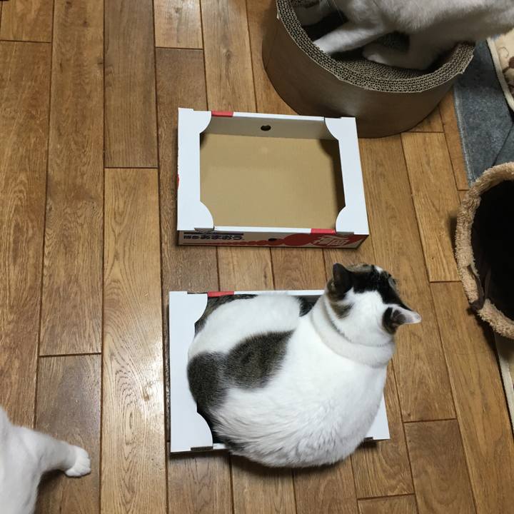 90ffb0ea b76c 44a1 bbb0 223054702257 1518669818594