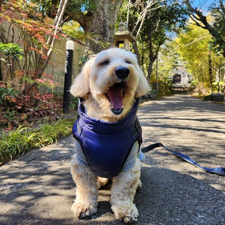 90ffceaa 0fc8 4a6b 8b90 87fd56ff1821 1770183368695