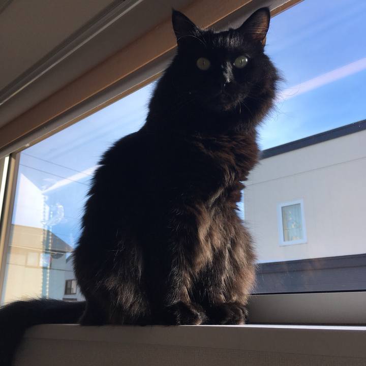 91001c8d 5c2f 49eb 810c 442194dc2058 1516414822048