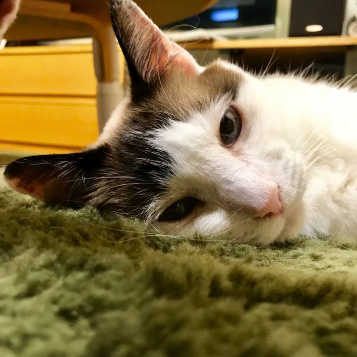 91003f66 979c 4631 8ee7 cf9e4532bc10 1561968639377