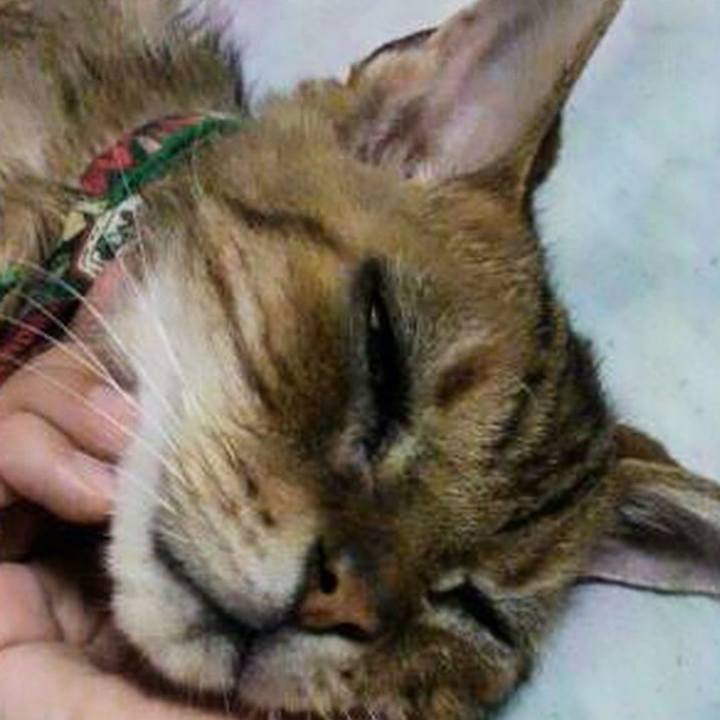 910040e7 2a65 4dce ab65 591ac55715e4 1761086350731