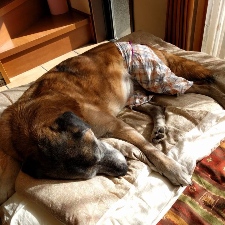 91007b0d cc7e 4dae 8c17 54f3884d8735 1516077586693