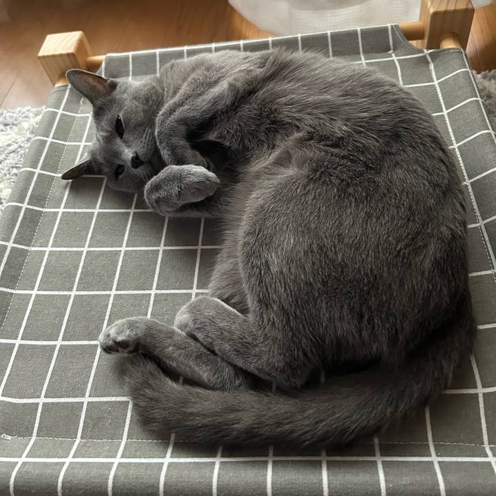 91007cd1 7f3f 4e70 92c4 5b6fa7b1bcba 1719531001578