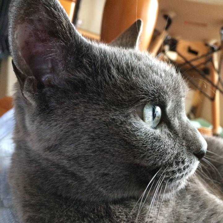 9100b307 b51c 4bd1 bcca 1da5c438c80c 1529966177362