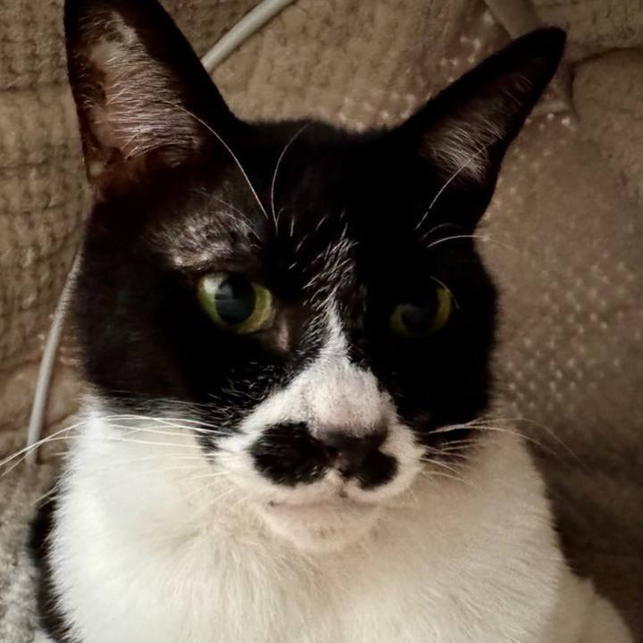 9100def0 c817 4248 8cb9 1ff4813738ca 1747460023301