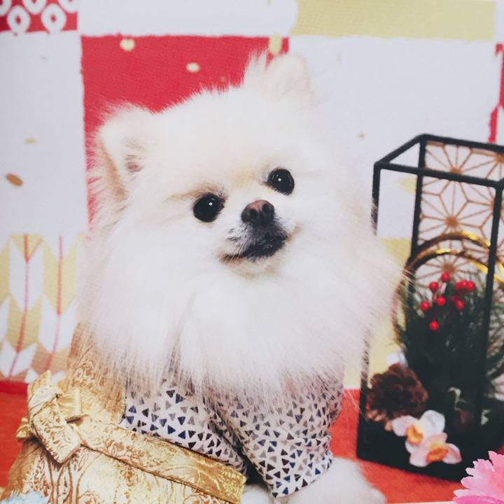 9100ea17 6546 46f1 a01c b5d46fb57f59 1546268935393