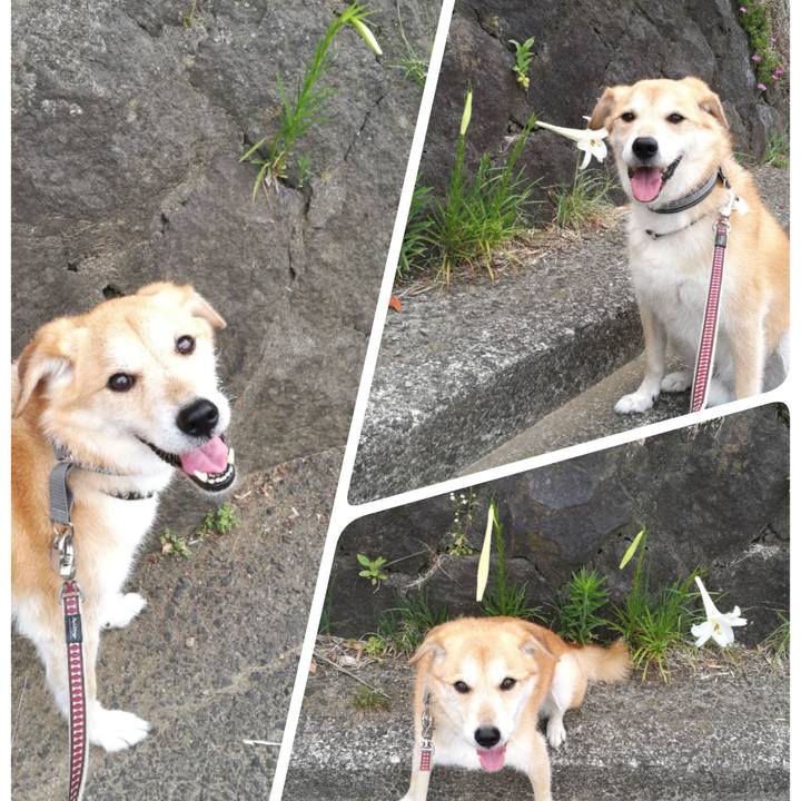 910109fe c1e6 4baf aba5 3f382a2d722f 1533801815373