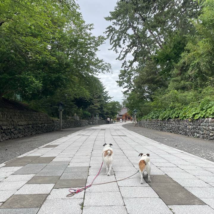 910152f1 5381 46f5 b1ed dee25d2ca349 1722131987820