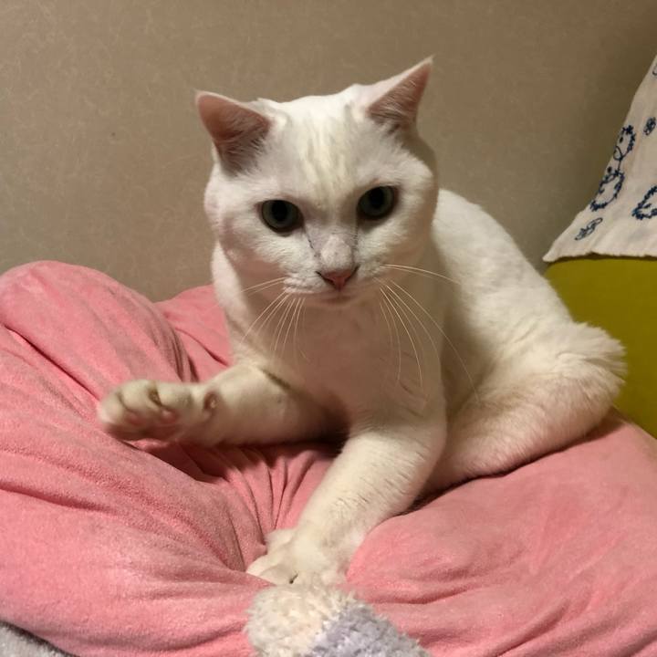 910158e1 2eb4 49f8 8d9f c85a66908b3f 1629458923386