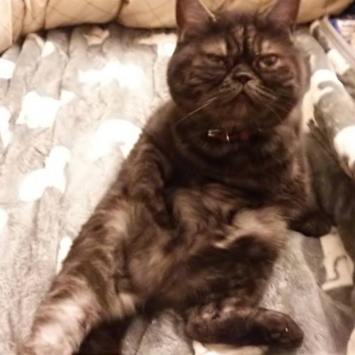 9101749d 028d 455f 94a6 c347b554e5ea 1515921497219