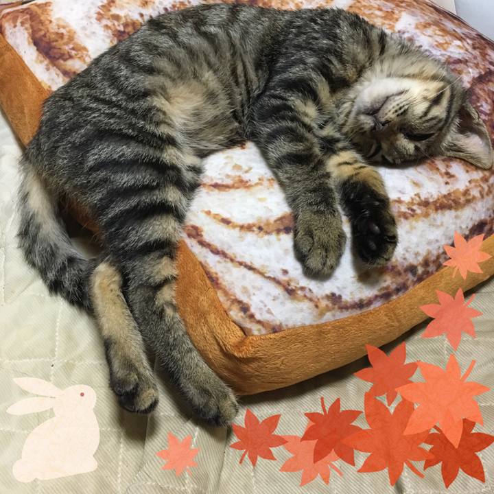 91019d65 d4fc 4b74 8a69 a563bebd1bd9 1536764452550